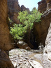 photo thumbnail #15