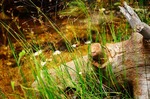 photo thumbnail #12