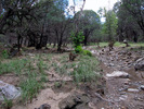 photo thumbnail #5