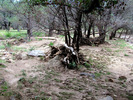 photo thumbnail #7