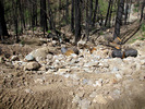 photo thumbnail #10
