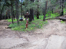 photo thumbnail #15
