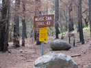 photo thumbnail #10