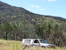 photo thumbnail #13