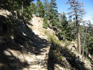 photo thumbnail #7