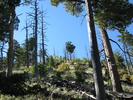 photo thumbnail #8