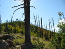 photo thumbnail #10