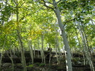photo thumbnail #12