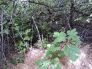 Featured Detail Photo