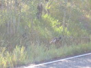 photo thumbnail #11