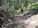 photo thumbnail #2