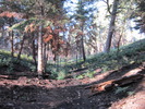 photo thumbnail #2