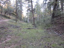 photo thumbnail #4