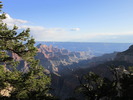 photo thumbnail #8