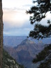 photo thumbnail #15