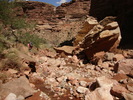 photo thumbnail #7