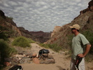 photo thumbnail #12