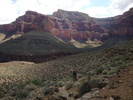 photo thumbnail #15