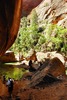 photo thumbnail #11