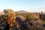 photo thumbnail #7