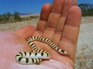 photo thumbnail #9