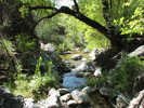 photo thumbnail #9