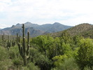 photo thumbnail #15