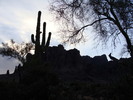 photo thumbnail #2