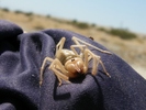 photo thumbnail #7