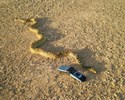 photo thumbnail #10