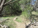 photo thumbnail #1