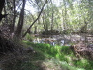 photo thumbnail #10