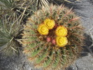 photo thumbnail #12
