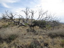 photo thumbnail #13