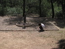 photo thumbnail #7