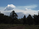 photo thumbnail #12