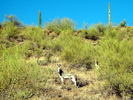 photo thumbnail #7