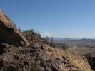 photo thumbnail #3