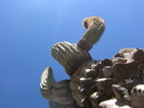 photo thumbnail #4