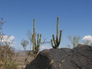 photo thumbnail #5