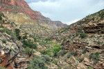 photo thumbnail #14