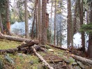 photo thumbnail #4