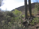 photo thumbnail #10