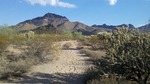photo thumbnail #6
