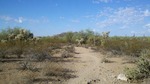 photo thumbnail #7