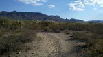 photo thumbnail #8