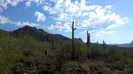 photo thumbnail #13