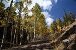 photo thumbnail #10