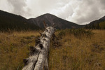 photo thumbnail #13