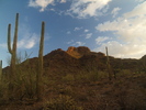 photo thumbnail #5